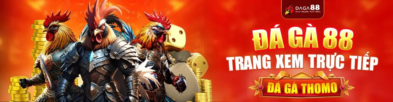 Trận đá gà trực tiếp tại 383sports nhà cái