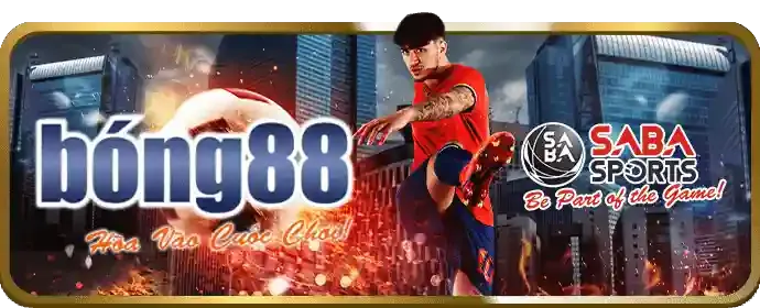 Găng tay boxing trên võ đài