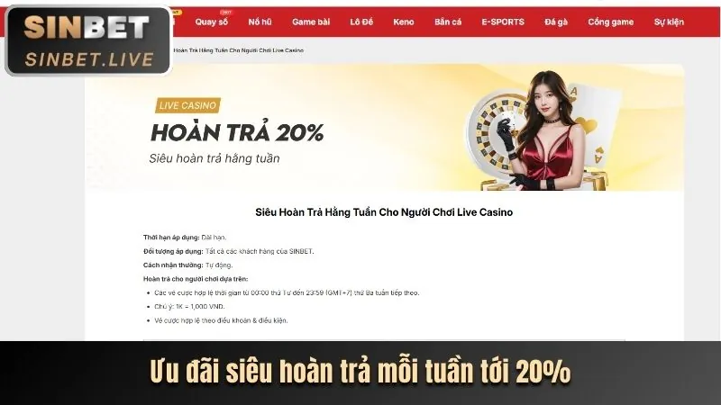 Tính năng mới của nền tảng 383sports
